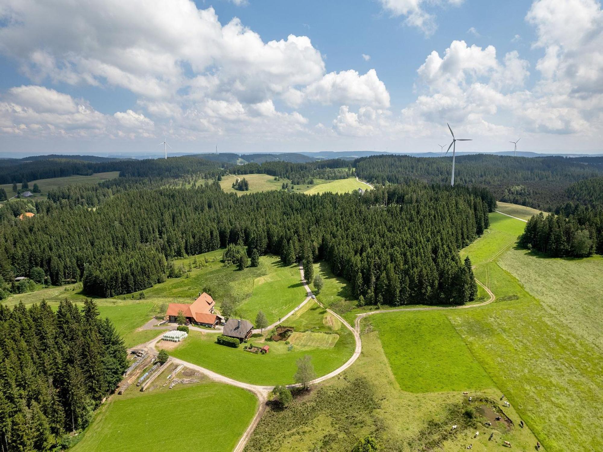 Ferienwohnung Duffner Schonach im Schwarzwald Exterior photo