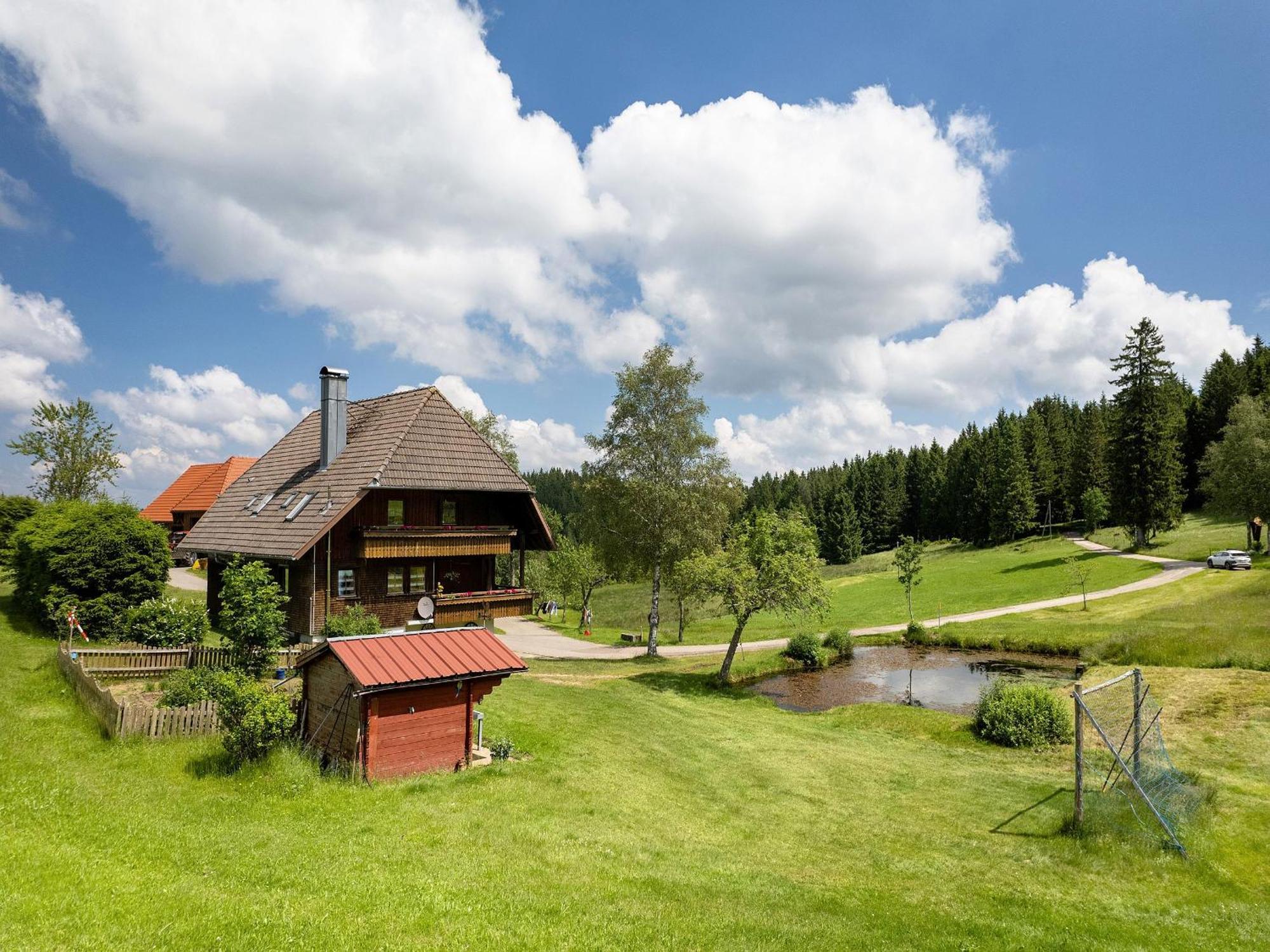 Ferienwohnung Duffner Schonach im Schwarzwald Exterior photo